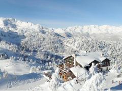 Muoversì: AI PIEDI DEL RIFUGIO ORSO BRUNO